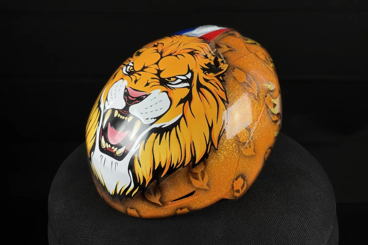 Custom helm · Zeil Leeuw