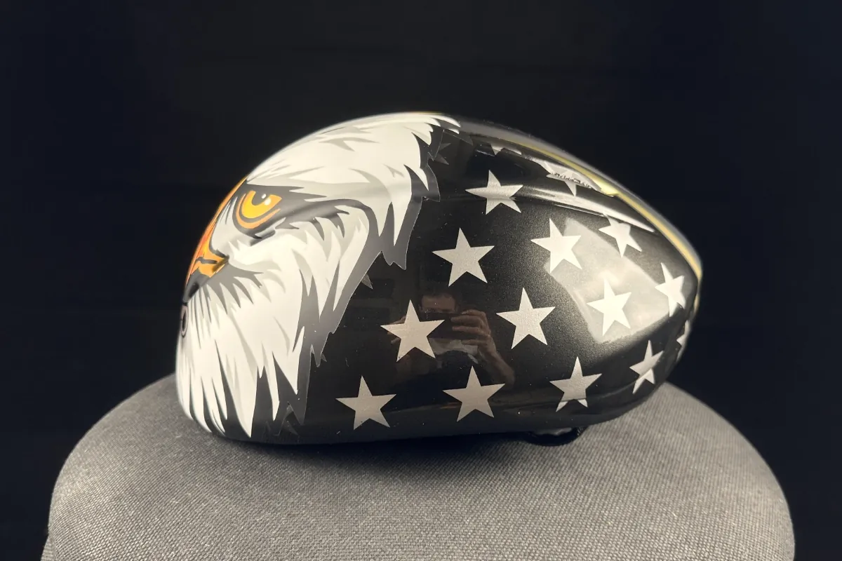 Custom helm · Lion Eagle