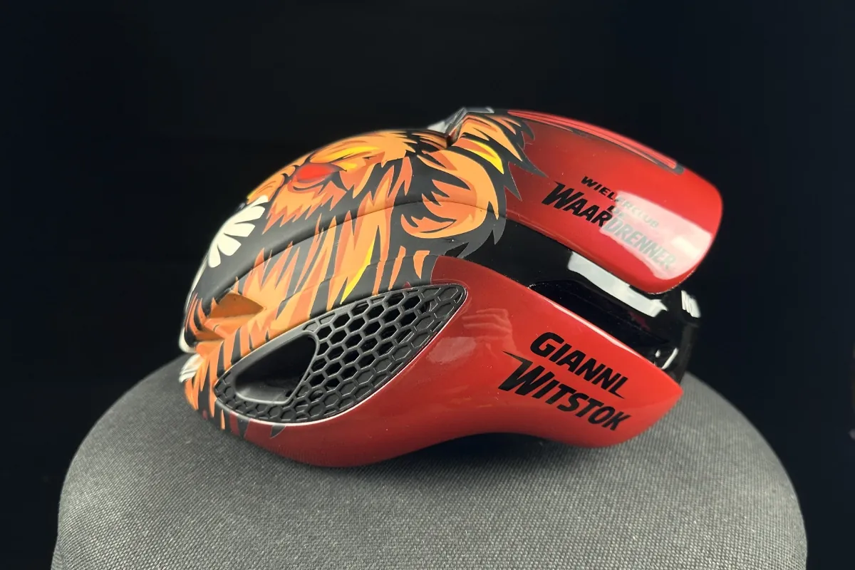 Custom helm · Abus Leeuw