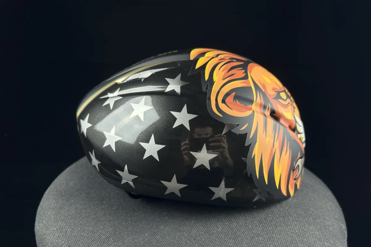 Lion Eagle · detail 3
